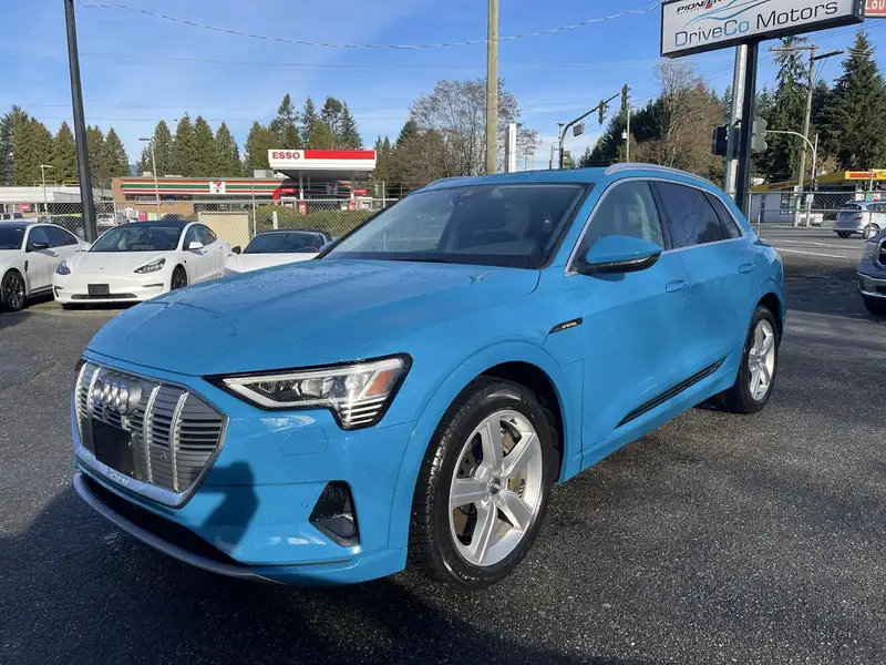 2019 Audi E-Tron Progressiv quattro, modrá, 116 514 km, dovoz Kanada — foto 9 z 12