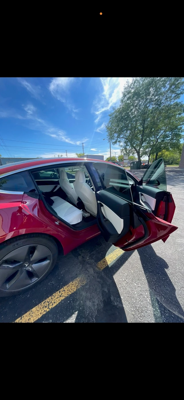 2019 Tesla Model 3, 79 576 km, dovoz Kanada — foto 2 z 5
