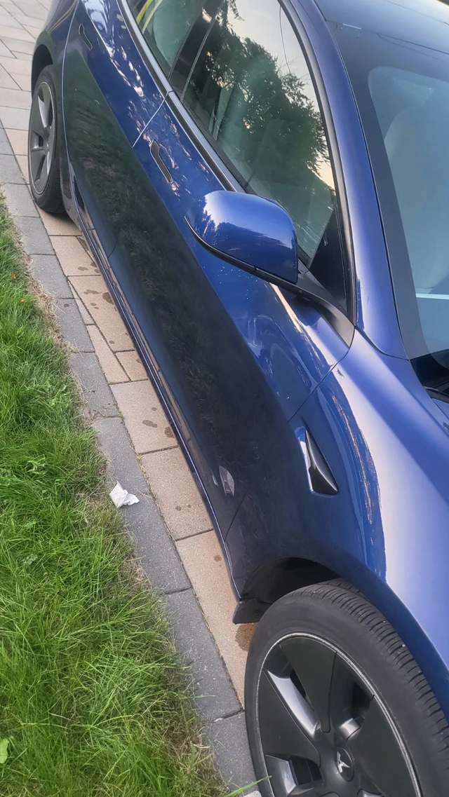 2023 Tesla Model 3, 66 505 km, dovoz Kanada — foto 3 z 5