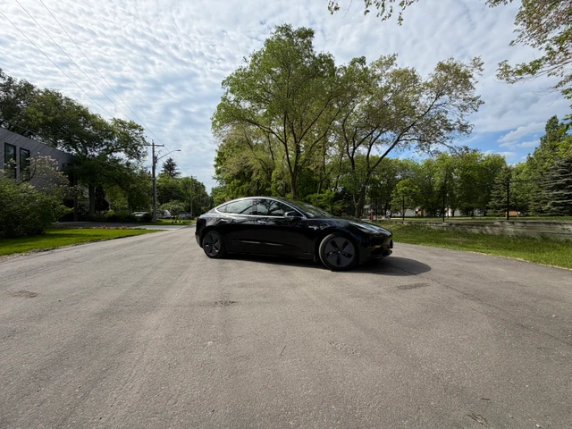 2020 Tesla Model 3 Standard Range Plus, 54 700 km, dovoz Kanada — foto 4 z 5