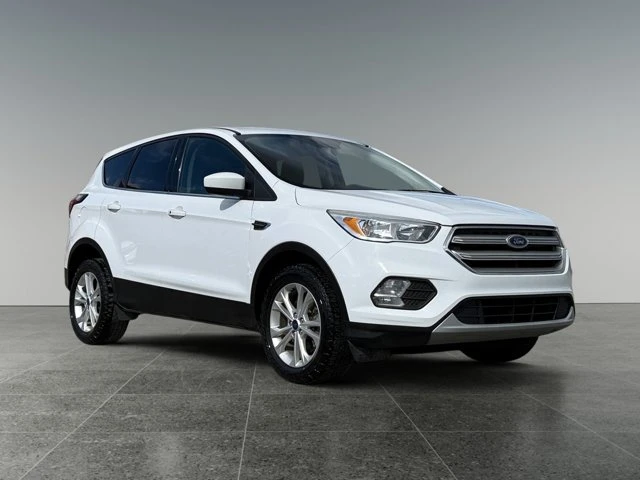 2019 Ford Escape SE, bílá, 214 141 km, dovoz Kanada — foto 7 z 15