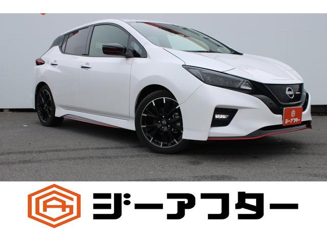 Nissan Leaf, dovoz Japonsko — foto 1