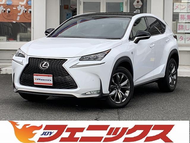 Lexus Nx, dovoz Japonsko — foto 1