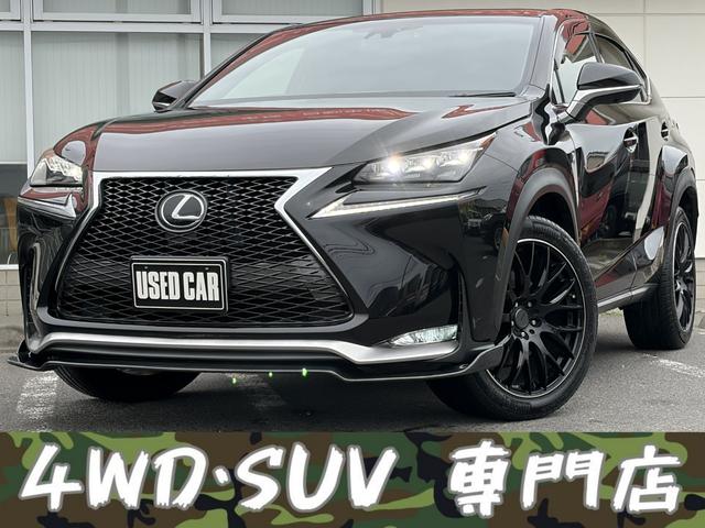 Lexus Nx, dovoz Japonsko — foto 1