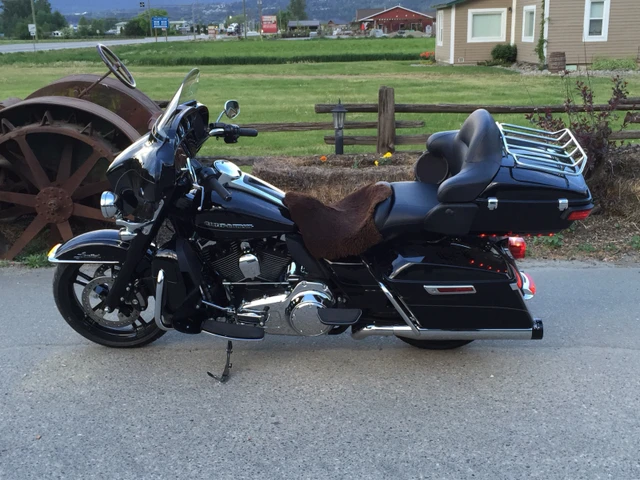 2015 Harley-Davidson, 29 000 km, dovoz Kanada — foto 2 z 5