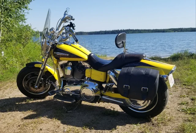 2009 Harley-Davidson, 37 736 km, dovoz Kanada — foto 2 z 4