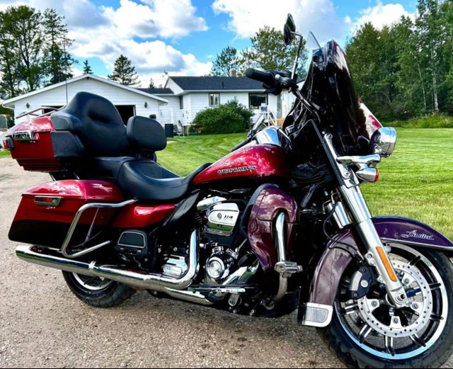 2019 Harley-Davidson, 22 000 km, dovoz Kanada — foto 2 z 5