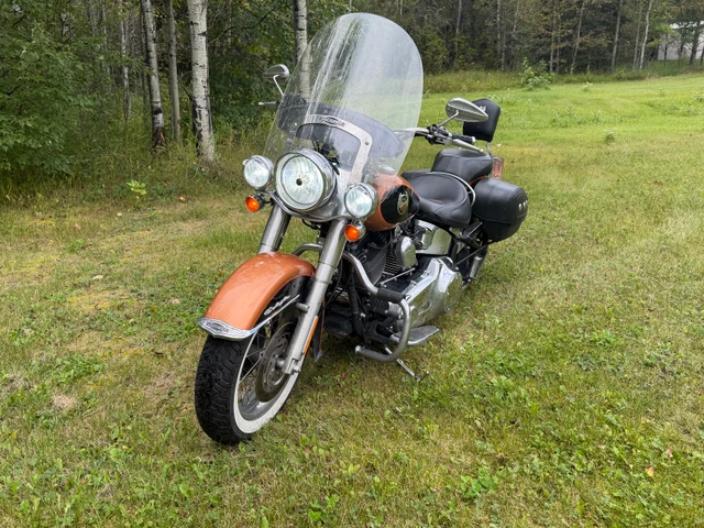 2008 Harley-Davidson, 60 900 km, dovoz Kanada — foto 2 z 5