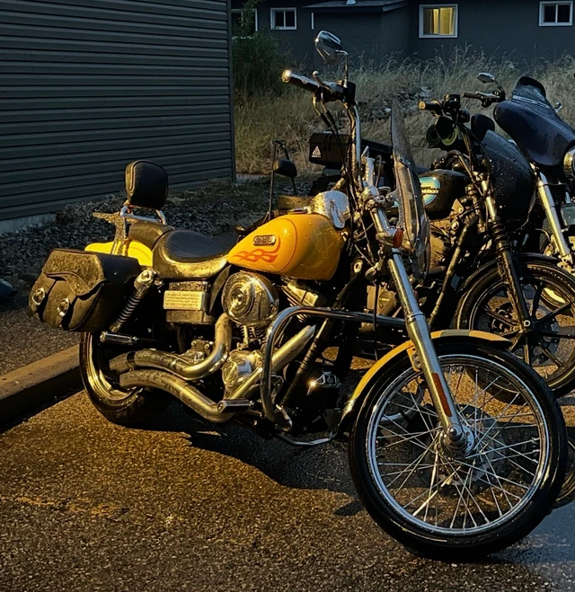 2006 Harley-Davidson, 57 000 km, dovoz Kanada — foto 2 z 2