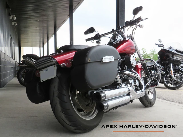 2008 Harley-Davidson, 62 929 km, dovoz Kanada — foto 4 z 5