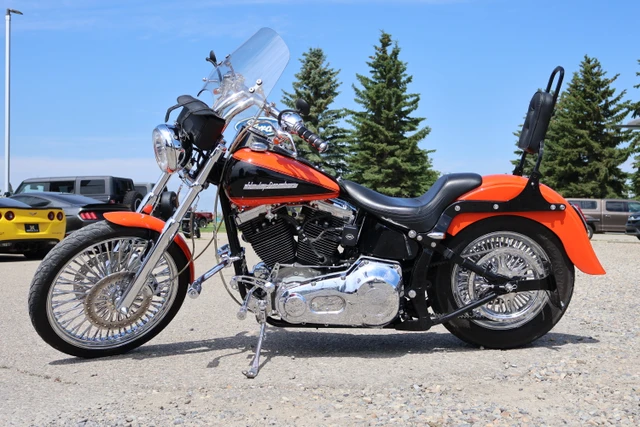 2021 Harley-Davidson, 337 km, dovoz Kanada — foto 2 z 5
