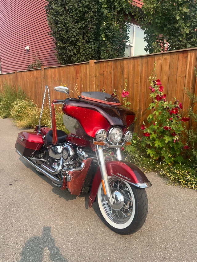 2018 Harley-Davidson, 37 100 km, dovoz Kanada — foto 3 z 5