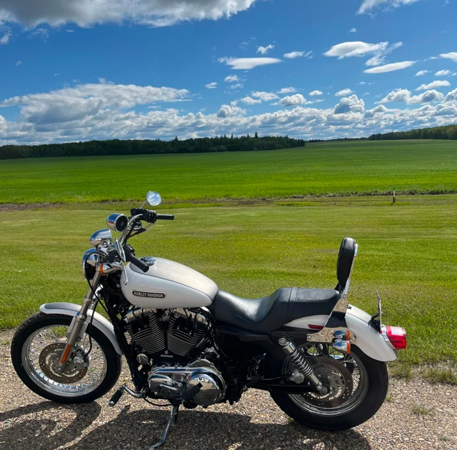 2009 Harley-Davidson, 20 900 km, dovoz Kanada — foto 1 z 5 2009 Harley-Davidson, 20 900 km, dovoz Kanada — foto 1 z 5