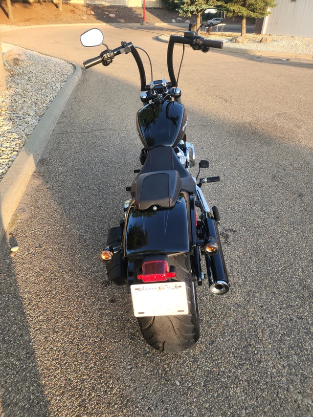 2018 Harley-Davidson, 17 800 km, dovoz Kanada — foto 4 z 5
