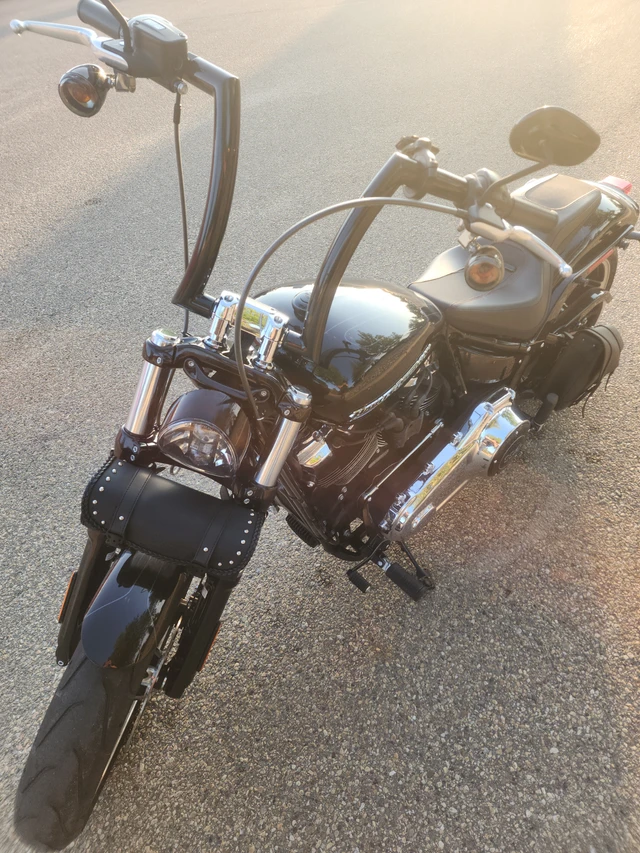 2018 Harley-Davidson, 17 800 km, dovoz Kanada — foto 5 z 5