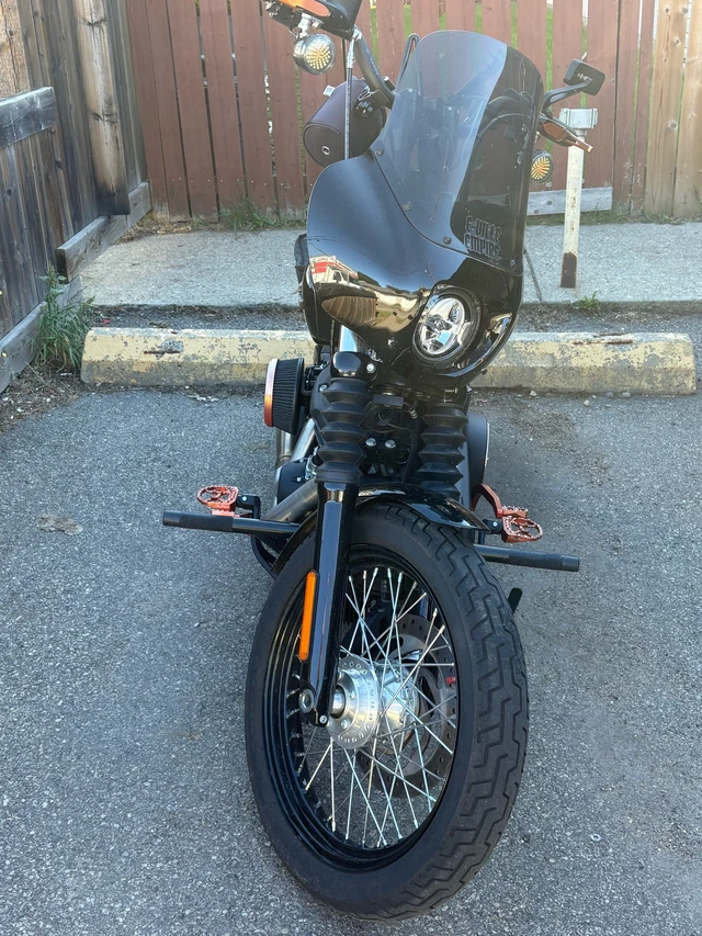 2018 Harley-Davidson, dovoz Kanada — foto 2 z 3