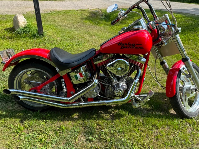 1996 Harley-Davidson, 6 900 km, dovoz Kanada — foto 4 z 5