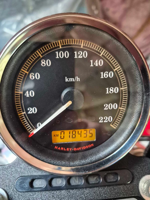 2009 Harley-Davidson, 18 435 km, dovoz Kanada — foto 4 z 4
