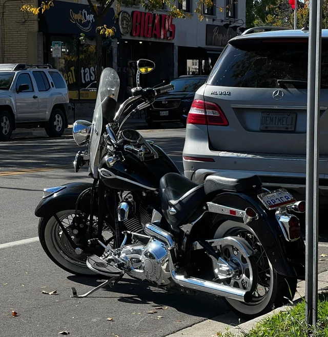 2006 Harley-Davidson, 49 000 km, dovoz Kanada — foto 2 z 5