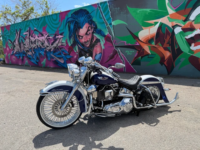 2006 Harley-Davidson, 29 800 km, dovoz Kanada — foto 2 z 5