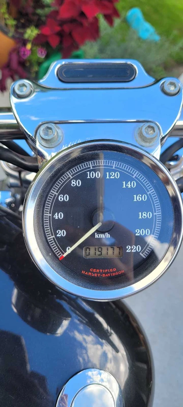 2001 Harley-Davidson, 19 177 km, dovoz Kanada — foto 4 z 4