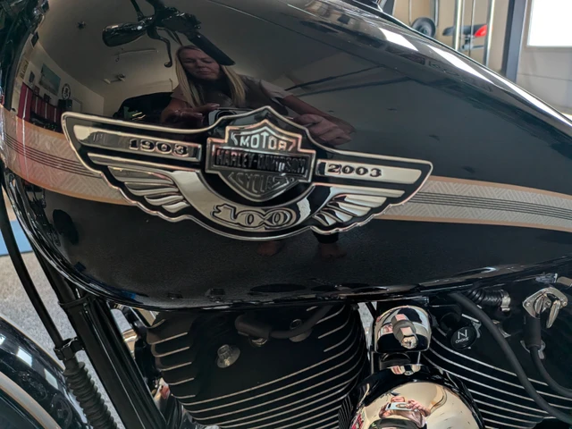 2003 Harley-Davidson, 8 400 km, dovoz Kanada — foto 5 z 5