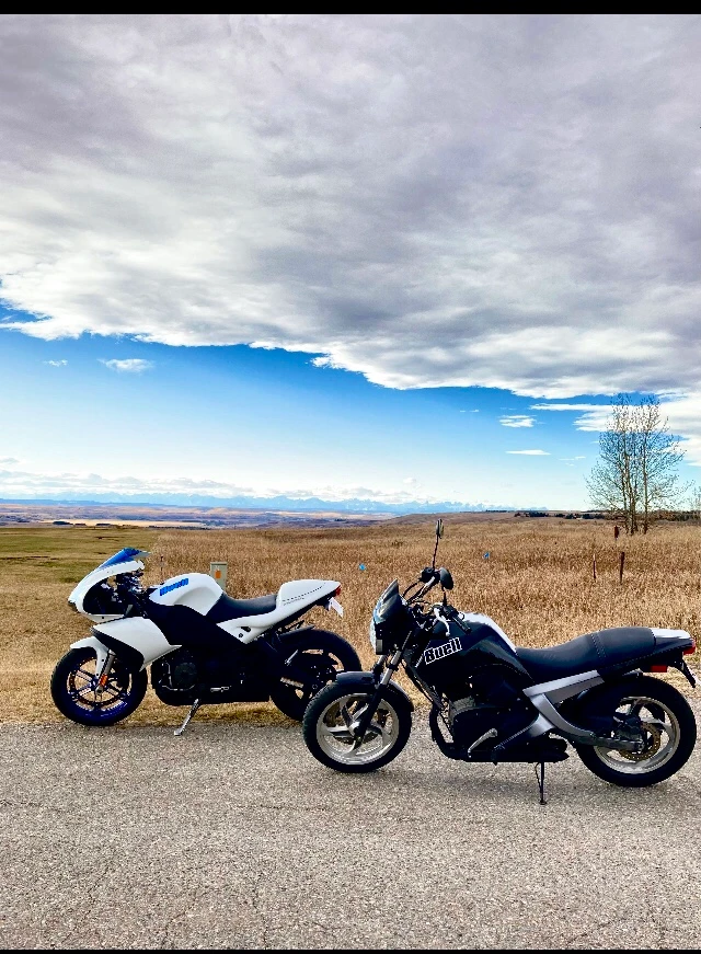 2009, 11 500 km, dovoz Kanada — foto 2 z 5