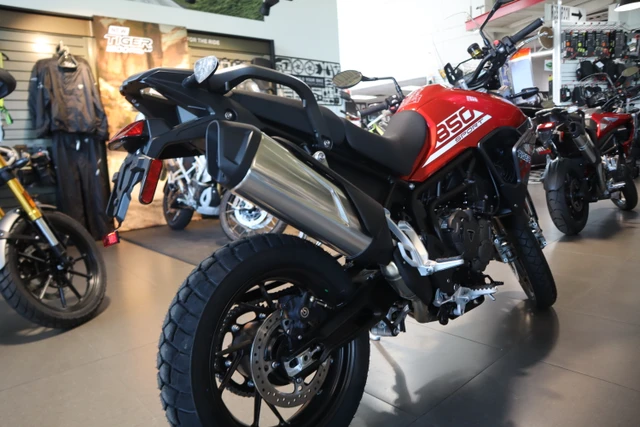 2025 Triumph, červená, dovoz Kanada — foto 4 z 5