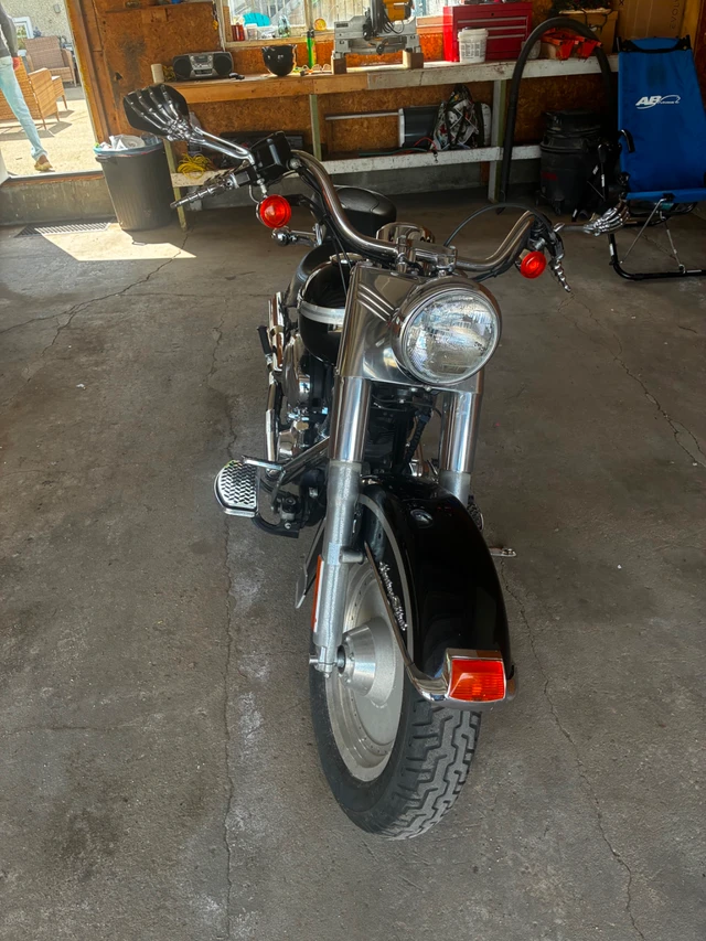 2001 Harley-Davidson, 51 000 km, dovoz Kanada — foto 2 z 5
