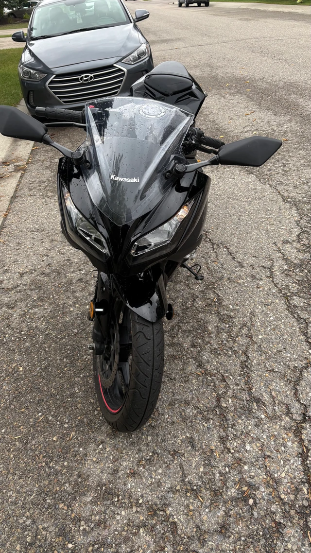 2013, 4 500 km, dovoz Kanada — foto 3 z 5