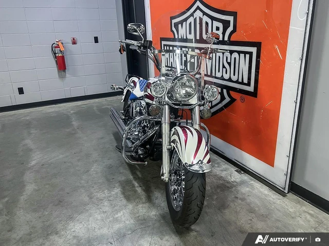 2004 Harley-Davidson, 63 320 km, dovoz Kanada — foto 2 z 5