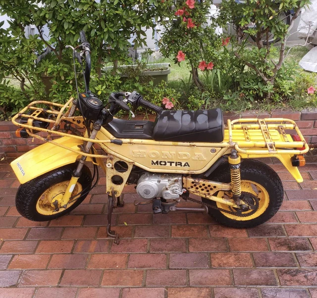1975, 500 km, dovoz Kanada — foto 5 z 5