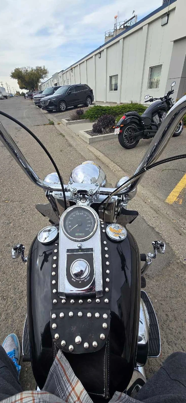 2004 Harley-Davidson, 60 000 km, dovoz Kanada — foto 5 z 5