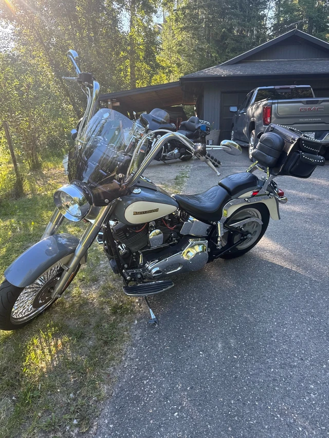 2002 Harley-Davidson, 42 000 km, dovoz Kanada — foto 3 z 5
