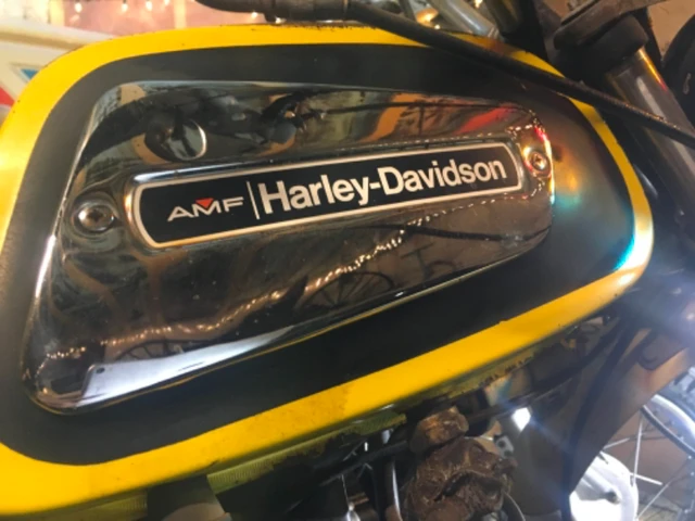 Harley-Davidson, dovoz Kanada — foto 2 z 5