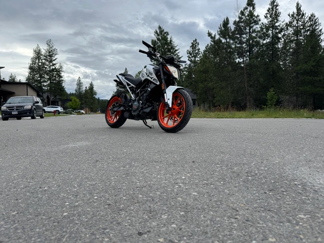 2021, 3 700 km, dovoz Kanada — foto 2 z 4