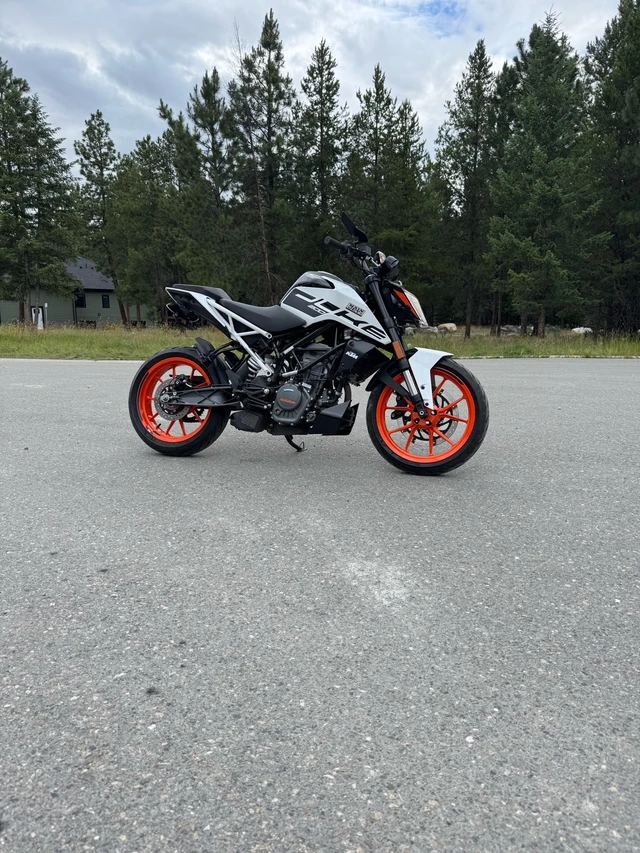 2021, 3 700 km, dovoz Kanada — foto 3 z 4
