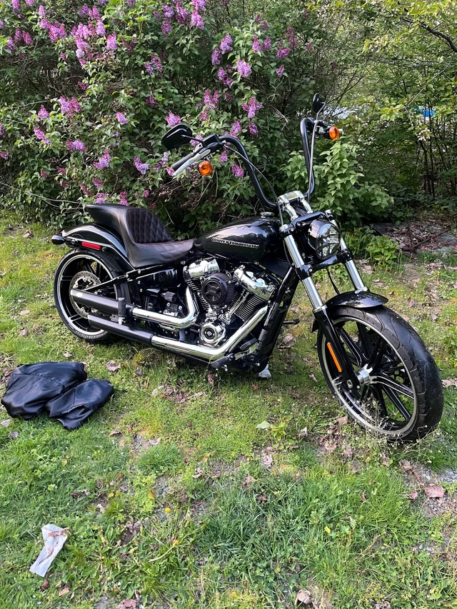 2018, 10 000 km, dovoz Kanada — foto 4 z 5