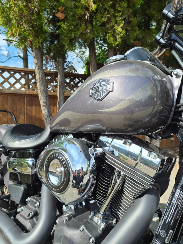 2016 Harley-Davidson, 7 421 km, dovoz Kanada — foto 2 z 5