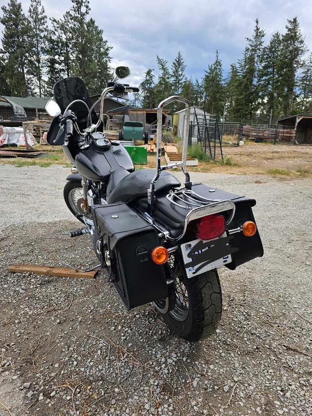 2002 Harley-Davidson, 67 000 km, dovoz Kanada — foto 3 z 5