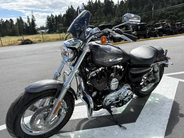2016 Harley-Davidson, 21 419 km, dovoz Kanada — foto 5 z 5