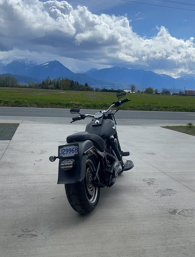 2011 Harley-Davidson, 44 000 km, dovoz Kanada — foto 2 z 5