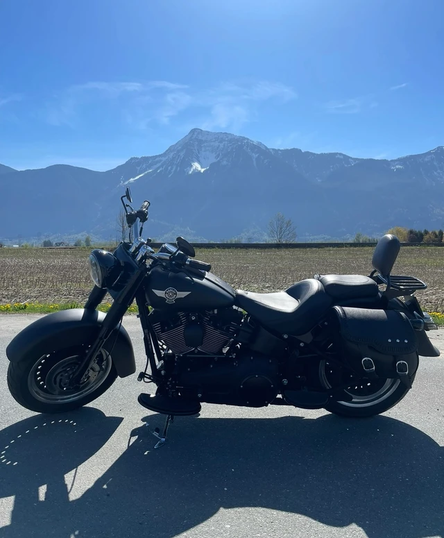2011 Harley-Davidson, 44 000 km, dovoz Kanada — foto 3 z 5