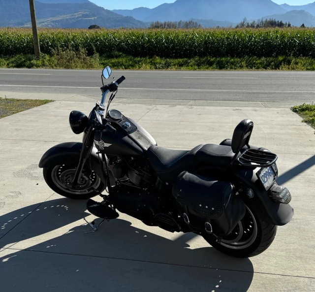 2011 Harley-Davidson, 44 000 km, dovoz Kanada — foto 5 z 5
