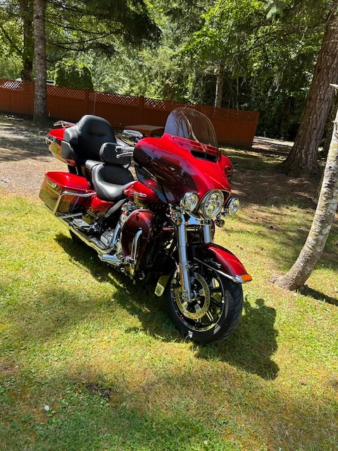 2019, 10 600 km, dovoz Kanada — foto 4 z 5