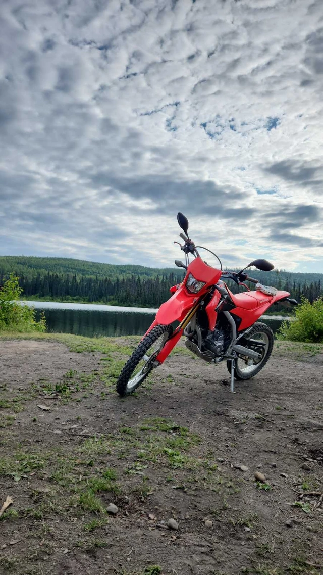 2017, 12 500 km, dovoz Kanada — foto 4 z 4