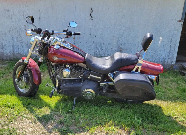 2009 Harley-Davidson, 30 000 km, dovoz Kanada — foto 2 z 5