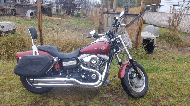 2009 Harley-Davidson, 30 000 km, dovoz Kanada — foto 3 z 5