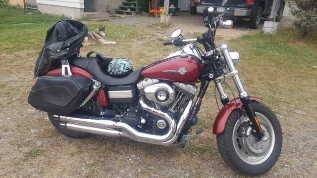 2009 Harley-Davidson, 30 000 km, dovoz Kanada — foto 4 z 5