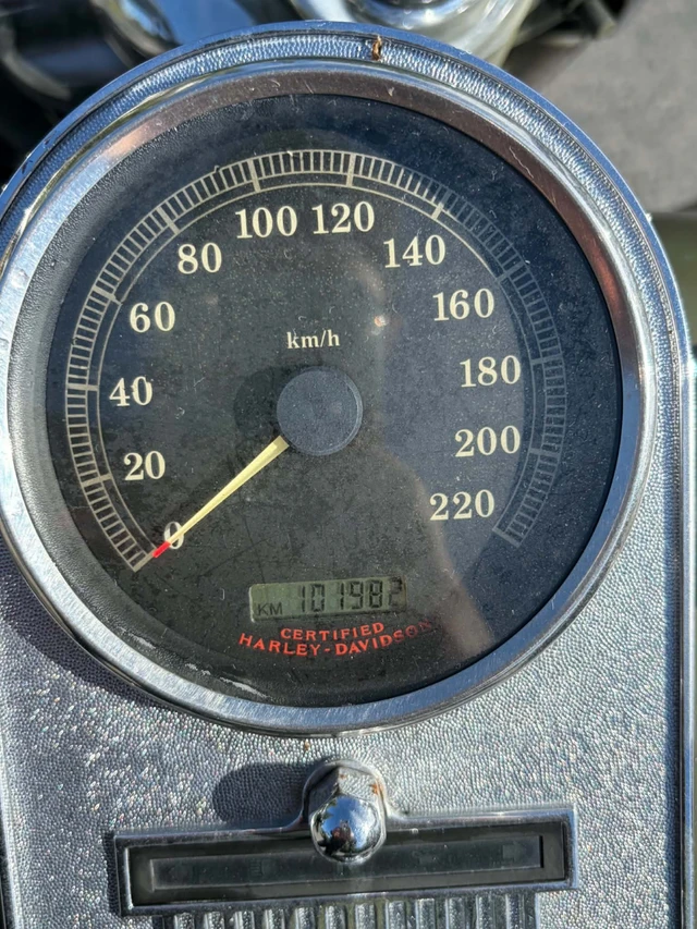 2004 Harley-Davidson, 101 900 km, dovoz Kanada — foto 4 z 5